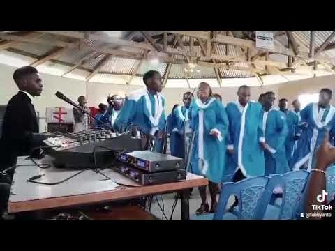 lolajack-wide.jpg